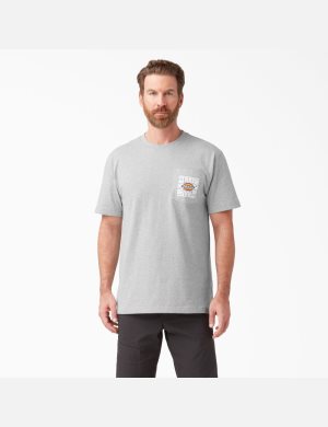 Dickies 100 Year Anniversary Grå | 839726-XBP