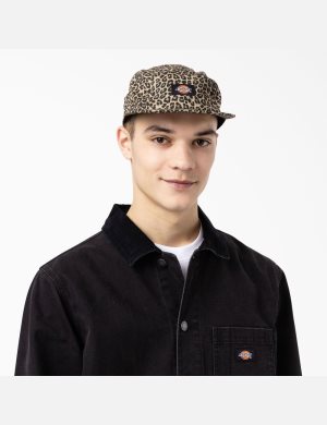 Dickies Albertville Baseball Leopard | 345902-WKX