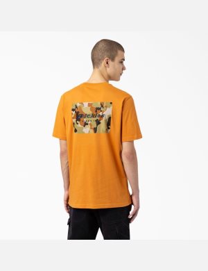 Dickies Artondale Tryck Guld | 314526-MYC