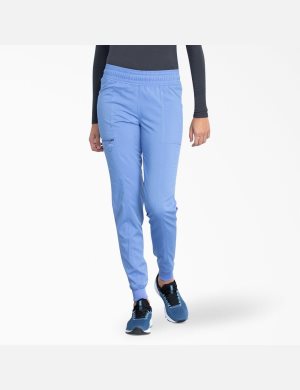 Dickies Balance Jogger Blå | 465128-CNX