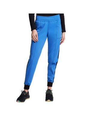 Dickies Balance Jogger Olika Färger | 719623-AUW