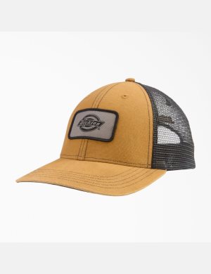 Dickies Canvas Trucker Bruna | 921048-SWR