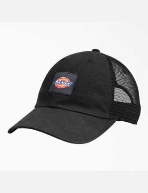 Dickies Canvas Trucker Svarta | 906578-WJH