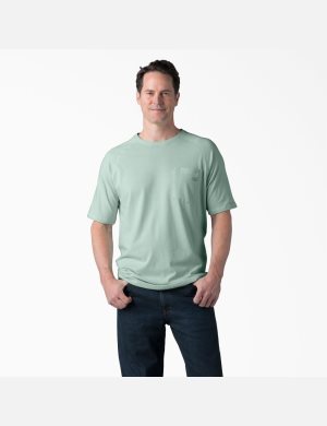 Dickies Cooling Korta Sleeve Olika Färger | 321567-DGI