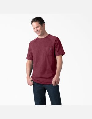 Dickies Cooling Korta Sleeve Vinröda | 510649-SAI