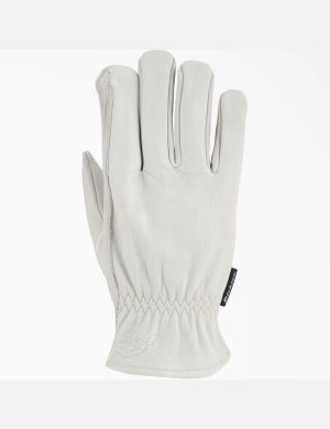 Dickies Cowhide Läder Driver Vita | 851094-KMV