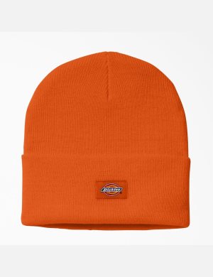 Dickies Cuffed Knit Orange | 431897-NRA