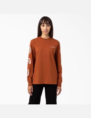 Dickies Falkville T-Shirt Bruna | 039824-WLG