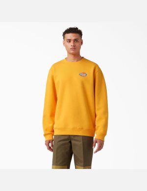 Dickies Fleece Embroidered Chest Logo Gula | 982450-FYL