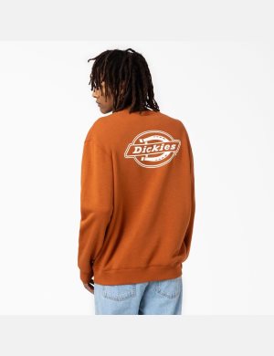 Dickies Holtville Bruna | 537201-YSL