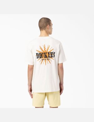 Dickies Kelso Tryck Beige | 872019-OKL
