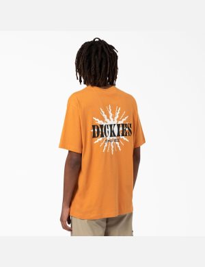 Dickies Kelso Tryck Guld | 970654-UNO