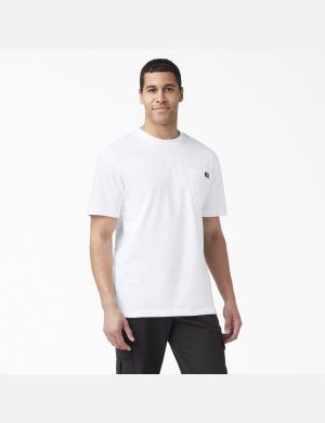Dickies Korta Sleeve Pocket Vita | 402586-ABT