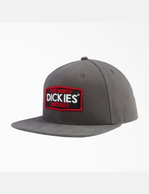 Dickies Logo Patch Platta Bill Grå | 470923-QGM