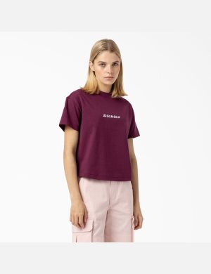 Dickies Loretto Lila Vinröda | 942683-UIB