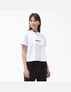 Dickies Loretto Vita | 264395-PZD