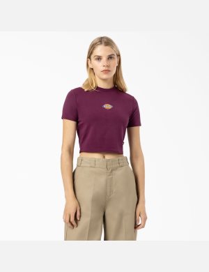 Dickies Maple Valley Lila Vinröda | 973152-YAU