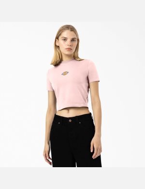 Dickies Maple Valley Rosa | 618934-KIH