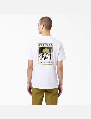 Dickies Pacific Tryck Vita | 364108-GJV