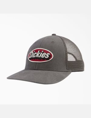 Dickies Patch Logo Trucker Grå | 402517-HLS