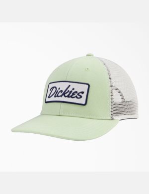 Dickies Patch Logo Trucker Gröna | 174230-HML