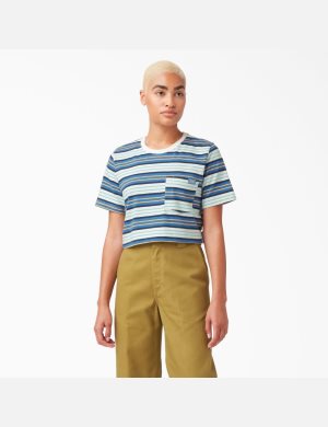 Dickies Randig Mörkblå | 891350-PBK