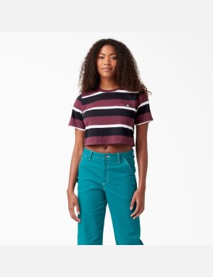 Dickies Randig Vinröda | 509367-DAZ