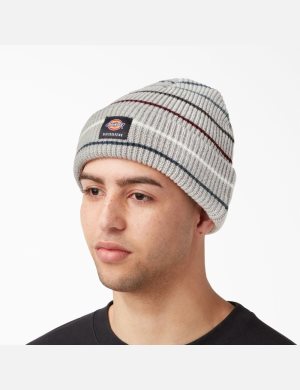 Dickies Skateboarding Cuffed Grå | 106294-BOV