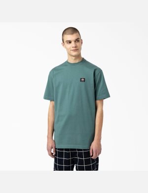 Dickies Skateboarding Mount Vista Gröna | 709842-CFB