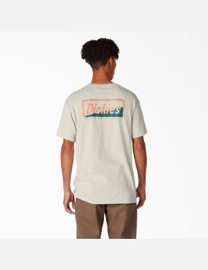 Dickies Skateboarding Split Tryck Beige | 234675-QET