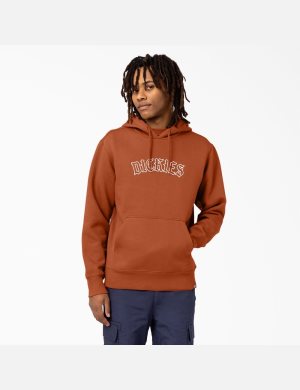 Dickies Union Springs Logo Bruna | 503896-QBA